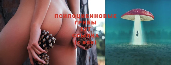 гидропоника Усолье-Сибирское