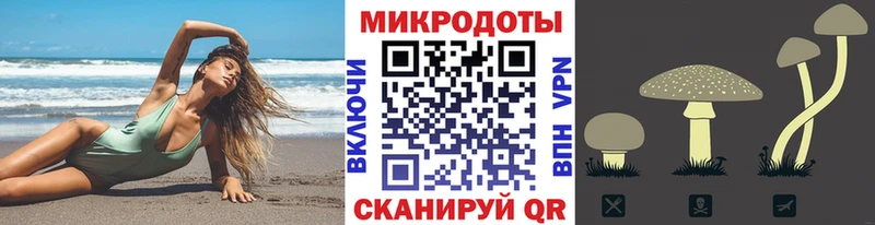Галлюциногенные грибы Cubensis  Северская 